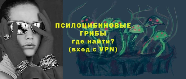 стаф Алексин