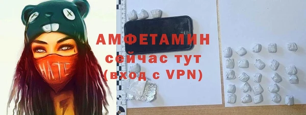 стаф Алексин