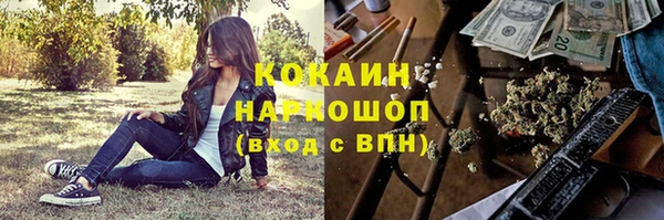 стаф Алексин