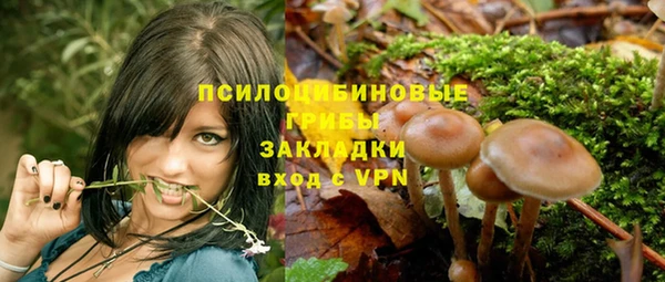 стаф Алексин