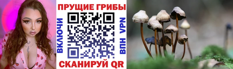 мега ссылка  Сим  Галлюциногенные грибы мухоморы 